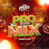 95 - Nadie te amara como yo - Dyland & Lenny (PROMIX EXCLUSIVE)